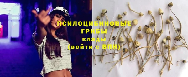 эйфоретик Алексин
