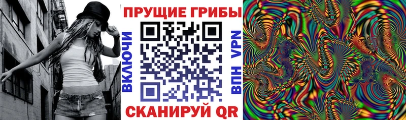 Галлюциногенные грибы Psilocybine cubensis  купить наркотик  Амурск 